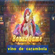 vino de carambola stardew valley